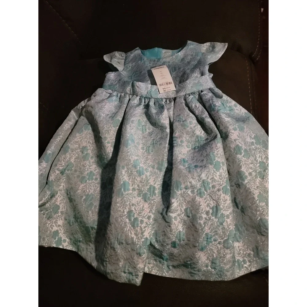 Dressed up by Gymboree fancy winter‎ floral dress size 3t nwt